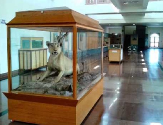 Inside Rajiv Gandhi Museum, Sawai Madhopur